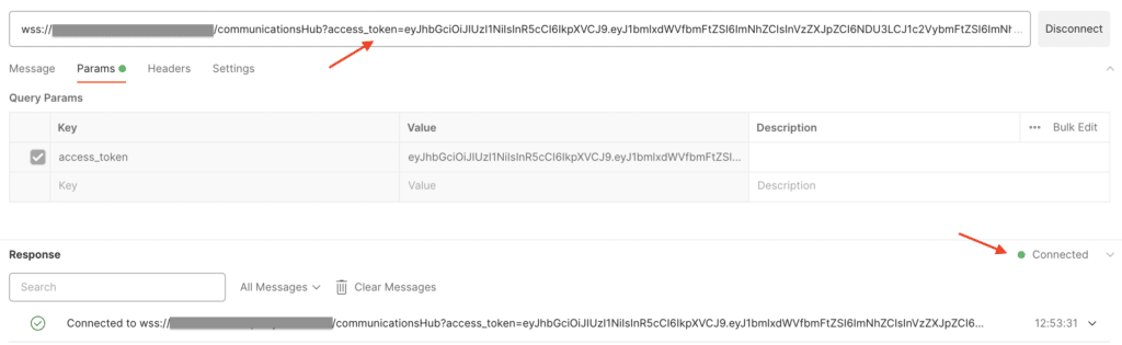 Postman WebSocket Request