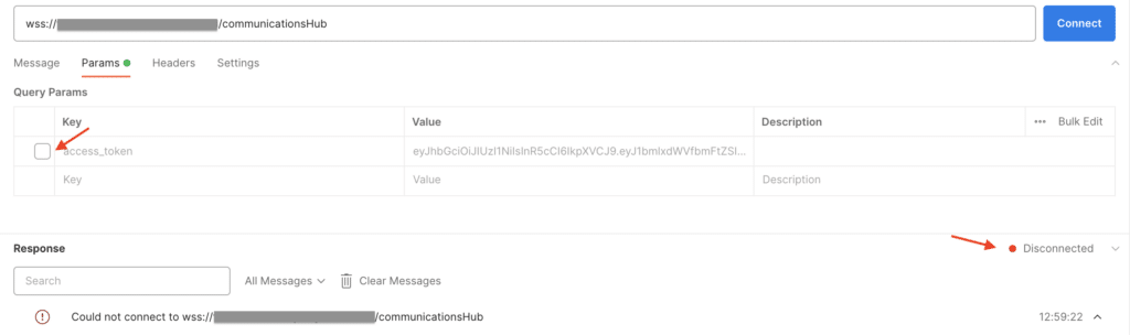 Postman WebSocket Request